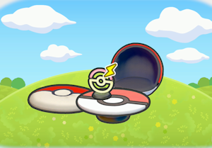 몬스터볼투성이